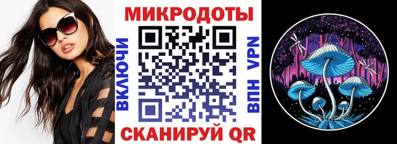 Псилоцибиновые грибы Psilocybe  купить наркотик  Шлиссельбург 